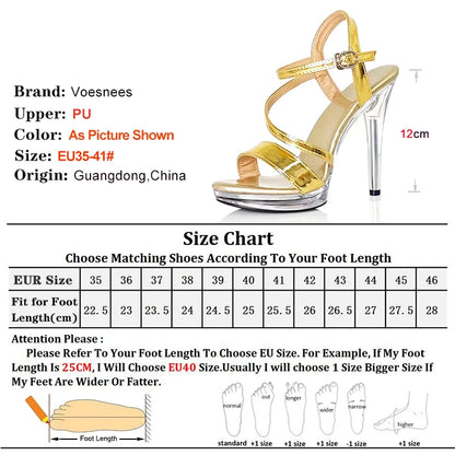 Silvery Women Sandals Heels 12cm Fashion Sexy Transparent Thin High Heels Dancing Shoes Ballroom Dance Sandals Stripper Shoes