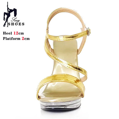 Silvery Women Sandals Heels 12cm Fashion Sexy Transparent Thin High Heels Dancing Shoes Ballroom Dance Sandals Stripper Shoes